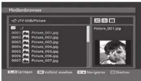 TechLine TL-22LC741 - Ansehen von JPEG-Dateien - 1