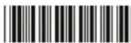 Zebex Z-3250 - End Of Configuration - 12