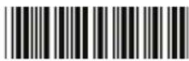 Zebex Z-3250 - Interface Settings - 2