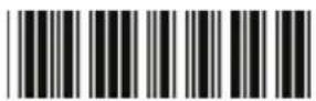 Zebex Z-3250 - Device Setting - 10
