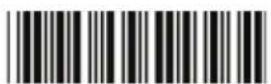 Zebex Z-3250 - End Of Configuration - 28