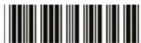 Zebex Z-3250 - Clearing Batch - 2