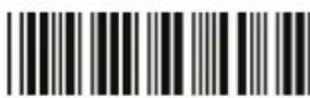 Zebex Z-3250 - Device Setting - 29