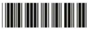 Zebex Z-3250 - Device Setting - 8