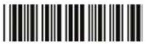 Zebex Z-3250 - Device Setting - 13