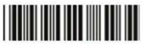 Zebex Z-3250 - Device Setting - 12