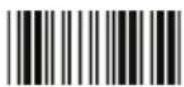 Zebex Z-3250 - Scan Mode - 7