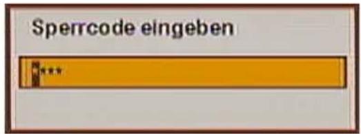 ZEHNDER ZX 710 - Folgende Informationen werden angezeigt: - 5