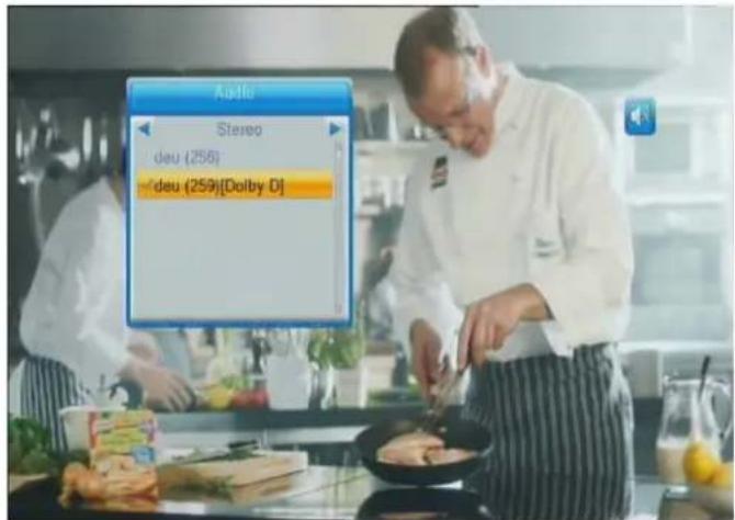 ZEHNDER HX 7202 CI+ - AC3-Tonsignale empfangen - 1