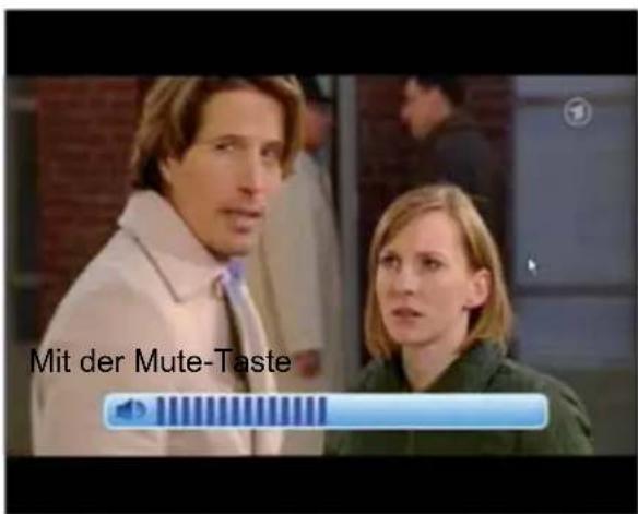 Mit der Mute-Taste