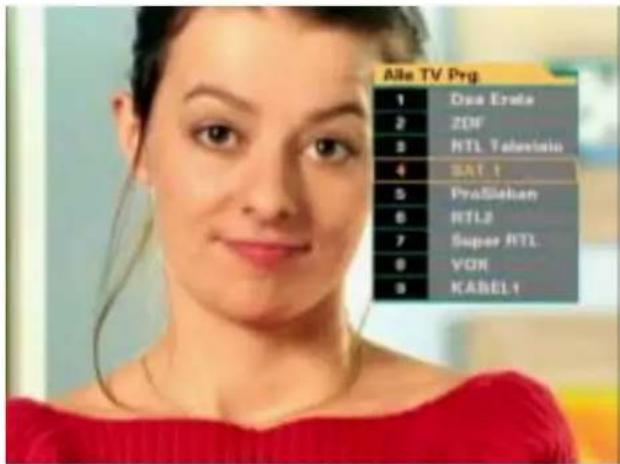 ZEHNDER DX 800 - Programmwahl über die Programmliste "Alle TV-Programme" - 2