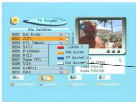 TV Eingabe Alle Satelliten 0001 Das Erste 0002 ZDFL 0003 RTL Televia 0004 SAT.1 0005 ProSieben 0006 RTL2 0007 Super RTL 0008 VOX 0009 KABEL1 0010 KIKa Losche 1 Alle losche TP loschen Q Sat losche Video PID/110 Audio PID/120