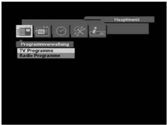 Hauptmeni Programmverwaltung TV Programme Radio Programme