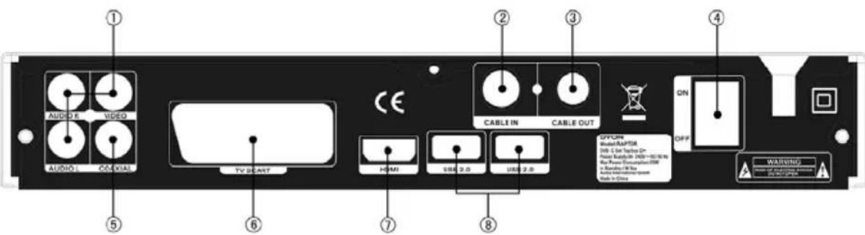 Dyon Raptor - Vorsicht: - 1