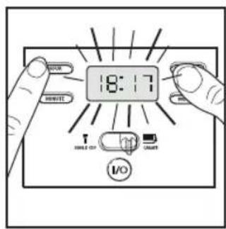 Lakeland 19686 - SETTING THE TIMER - 1