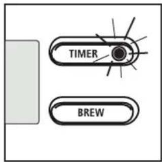 Lakeland 19686 - SETTING THE TIMER - 2