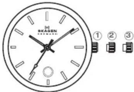 Skagen Hagen - UHREN MIT GROSSER DATUMSANZEIGE (BIG DATE) - 1