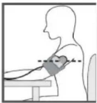 Medifit MD 509 - CORRECT POSTURE FOR MEASUREMENT - 1