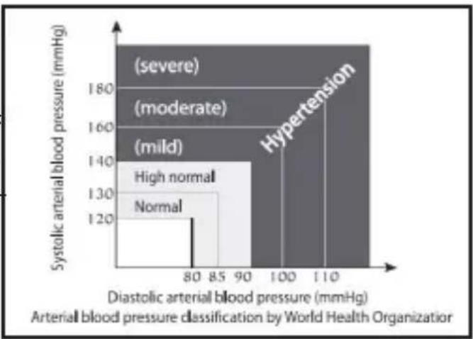 Medifit MD 509 - TIPS ON TAKING BLOOD PRESSURE MEASUREMENT - 2