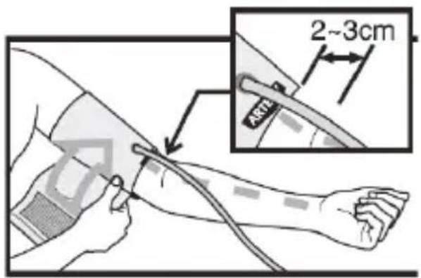Medifit MD 509 - POSIZIONE CORRETTA PER LA MISURAZIONE - 5