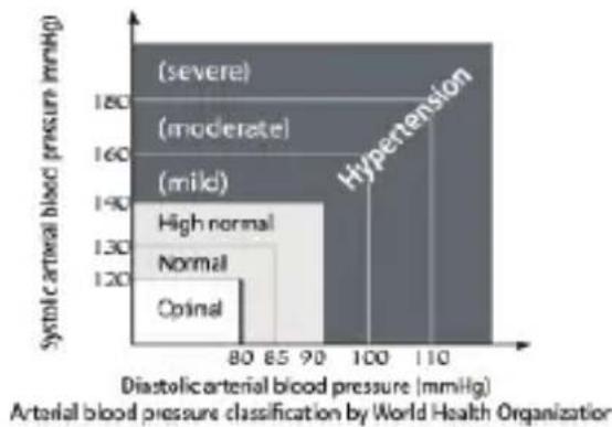 Medifit MD 509 - WHO BLOOD PRESSURE CLASSIFICATION ("World Health Organization") - 1