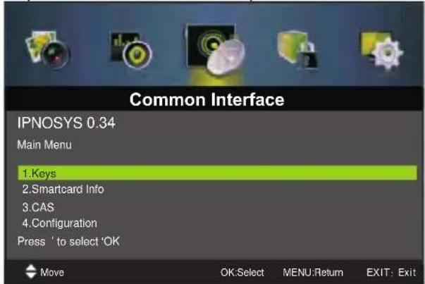 Miia MTV-C24LEHD-DVD - Interfaccia comune - 1