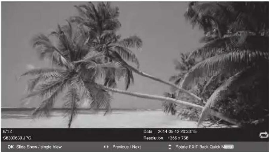 Miia MTV-C24LEHD-DVD - Foto - 1