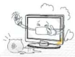 Miia MTV-C24LEHD-DVD - Avvertenze - 2