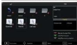 Asano 32DF3002H - Media player - 4