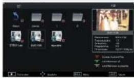 Asano 32DF3002H - Media player - 2