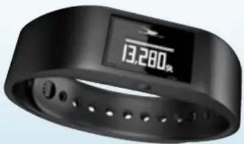 Crane H05-CDAT-2C - Fitness Armband - 2