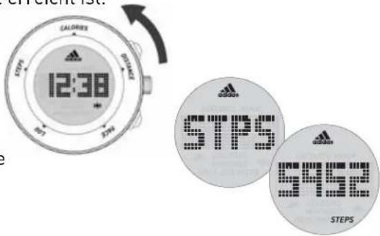 CALORIES 12:38 STIPS STIPS2 STIPS