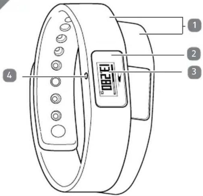 Crane H05-CDAT-2A - Fitness Armband - 4