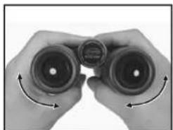 Kowa BD42-10XD Prominar - Justierung des Pupillenabstandes - 2