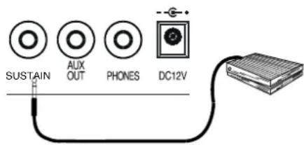 General Music GK360 - The Sustain jack - 1