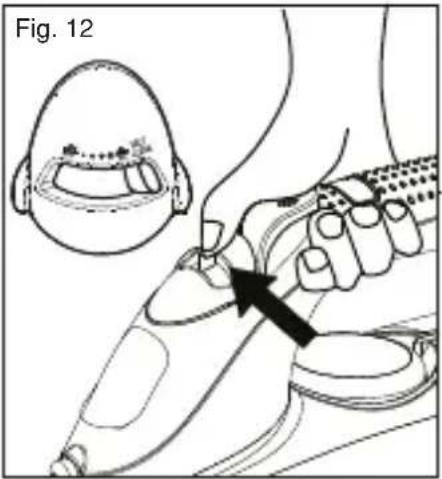 Fig. 12