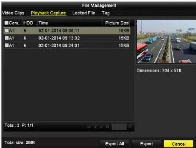Hikvision DS-9008HFI-ST - Task 1: Back up Captured Pictures when Playback - 2