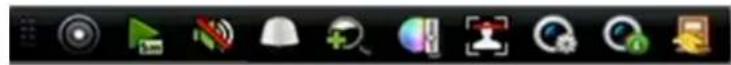 Hikvision DS-8616NI-E8 - Symbolleiste im Liveansicht-Modus - 1