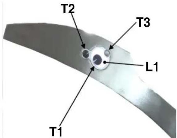T2 T3 L1 T1