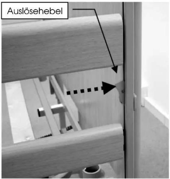 Burmeier Dali Economic - Absenken - 1
