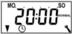 RADEMACHER 8431 - OFF - 10