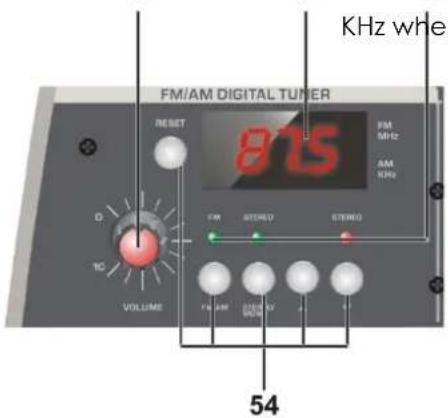 DAP-Audio Entertainer Mobile Set Pro - Tuner - 1