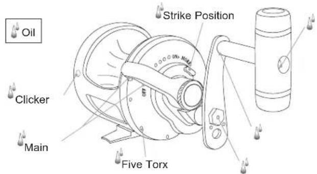 Accurate Boss BX2-400 - MAINTENANCE - 2