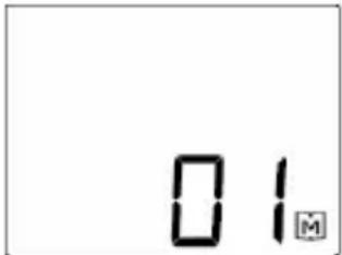 BEURER BGL40 - Displaying single values - 1