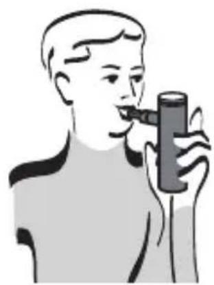 Inqua BR021100 - Inhalation für die unteren Atemwege - 2