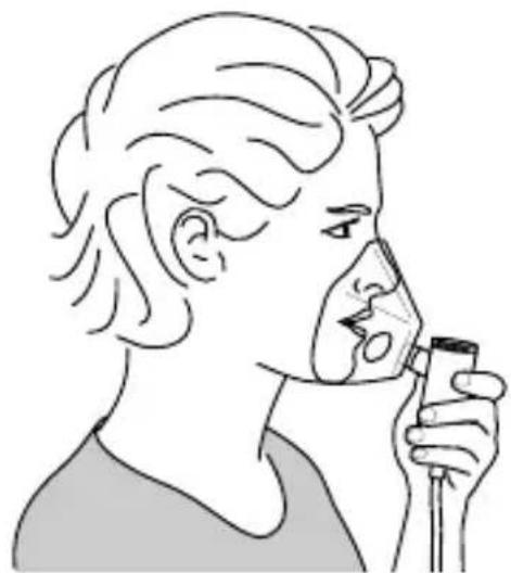 Inqua BR021100 - Inhalation für die oberen Atemwege - 1