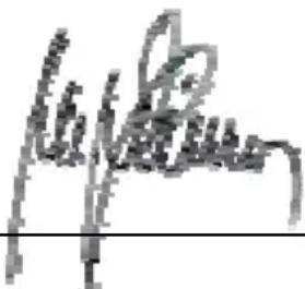 AUDIOLINE TEL49 CLIP - Konformitätserklärung - 1