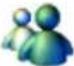 TOSHIBA E800 - Display Icon List - 5