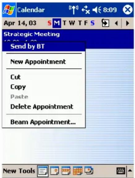 Calendar Apr 14, 03 SMTW TFS Strategic Meeting Send by BT New Appointment Cut Copy Paste Delete Appointment Beam Appointment... New Tools