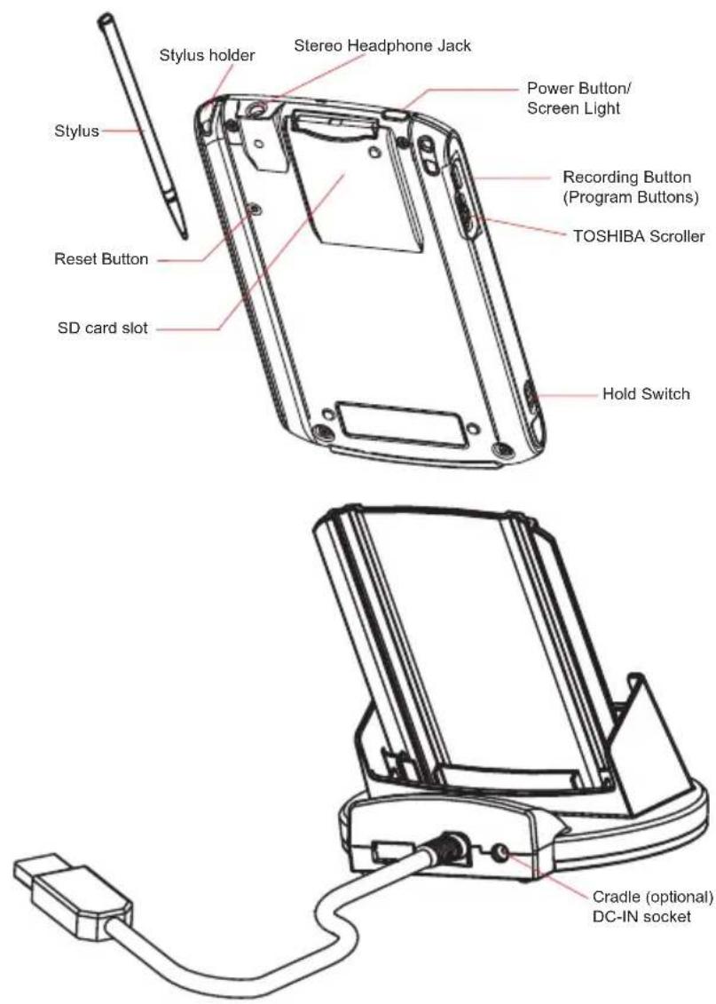 Stylus holder Stereo Headphone Jack Power Button/ Screen Light Stylus Reset Button SD card slot Recording Button (Program Buttons) TOSHIBA Scroller Hold Switch Cradle (optional) DC-IN socket